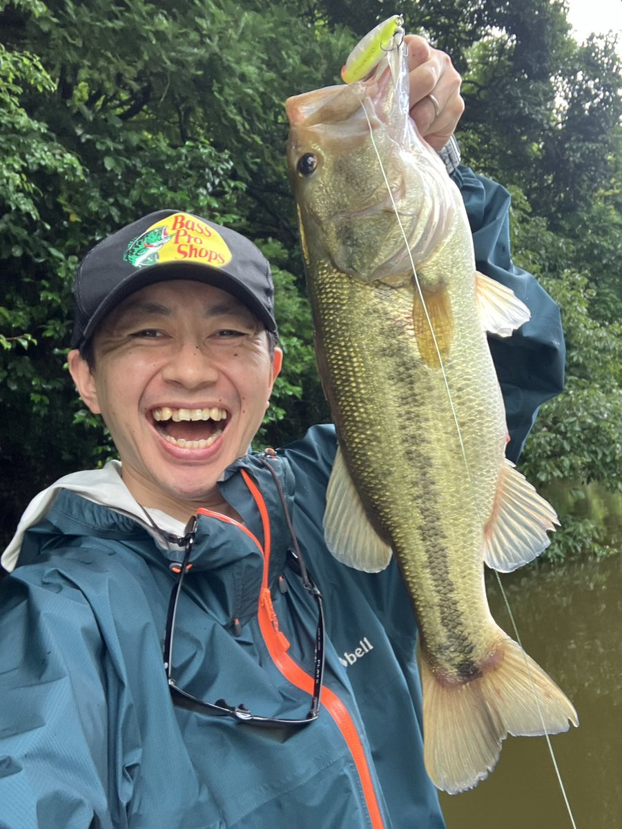 HB968M's tweet photo. 2026.07.05(日) 亀山湖

オーバーハングの先端をねらい、ポッパーで50アップ。ルアーはロビーナルアーズのリオリコです。吸い込まれたときの「ジュポン！」という音といっしょに、脳内で何かが弾け飛びました。

#デコ船紀
#デコ船紀2026
#亀山湖
#亀山ダム
#ポッパー
#リオリコ
#リッククラン https://t.co/eN63TLBZfK