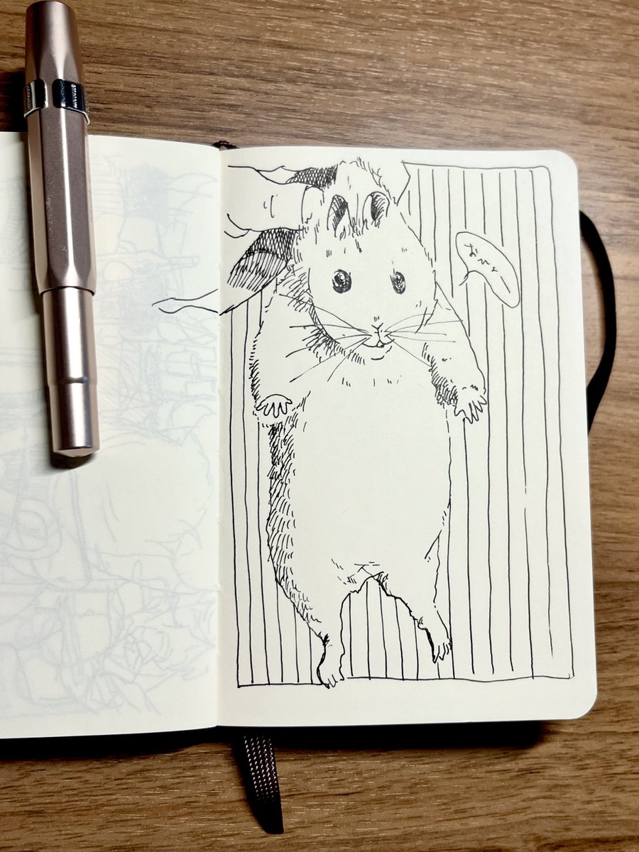 あむ (@nj819amu) / Posts / X