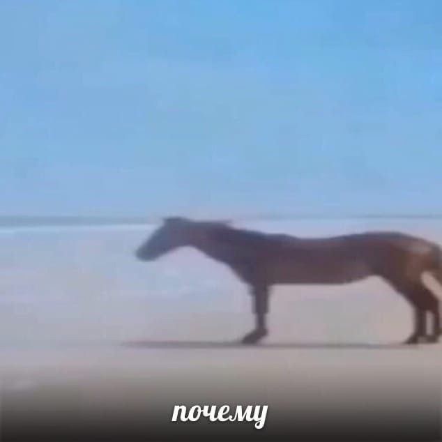 sh1vours's tweet photo. Я просто хочу вернуться в игру. Посмотреть на своих любимок, потискать их всех и быть счастливой, но я держусь потому что Валко стоит того. Без него мне грустно и печально

#BringBackValko https://t.co/fZFIP87s8I
