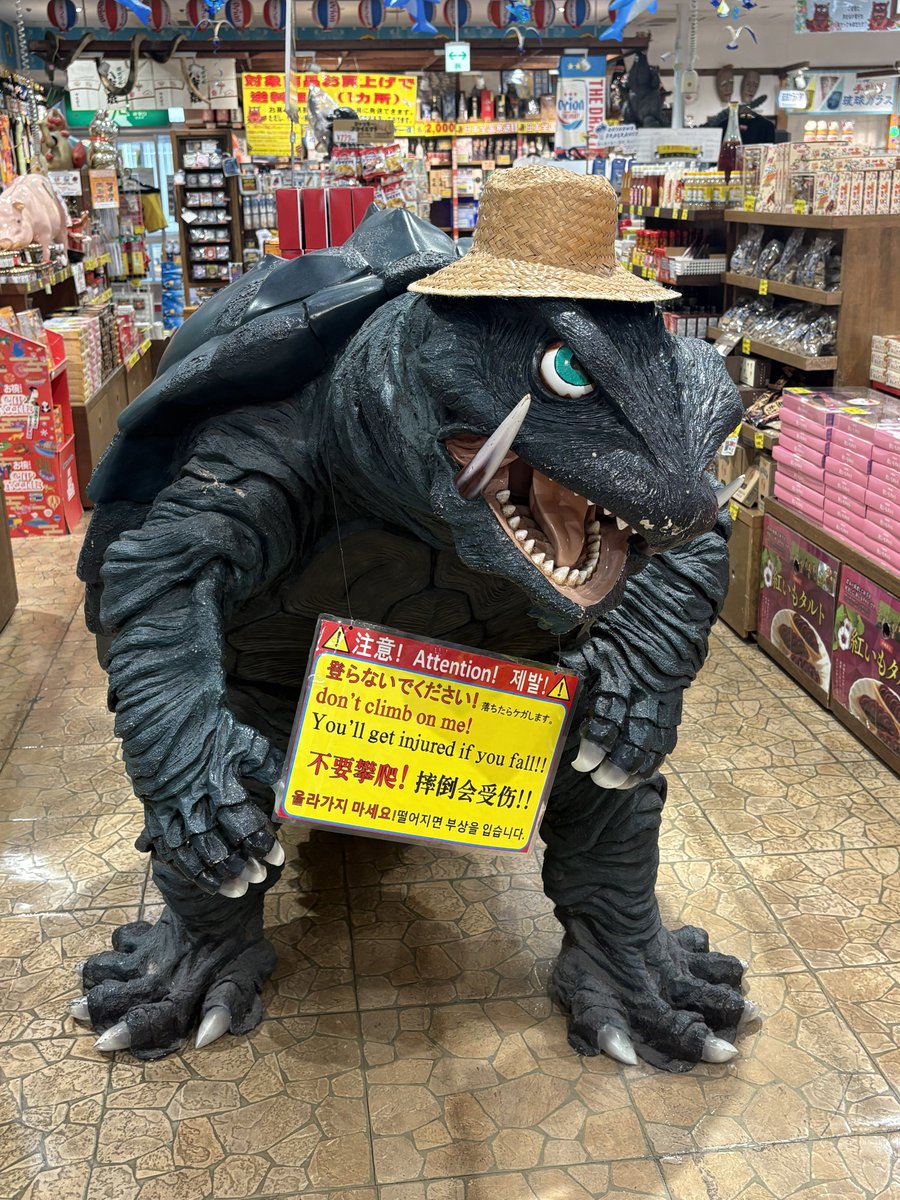 sarutajira's tweet photo. 噂の沖縄国際通りにいるガメラ達を見るノルマも達成してきました。 https://t.co/Wb7z5zDMeH