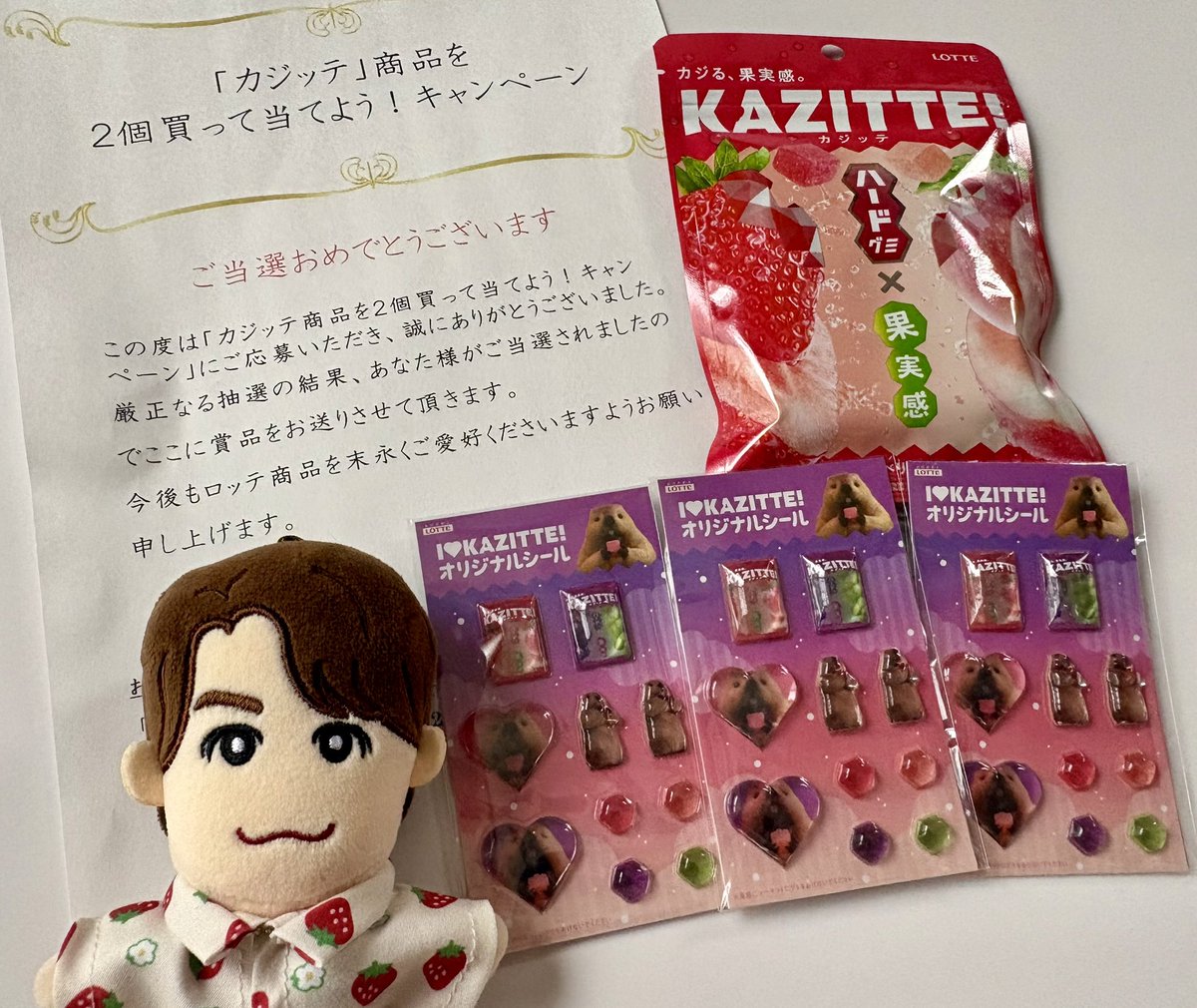 yuzu_pon_801's tweet photo. ロッテさんからマーモットのシール届きました✨
結構応募したからぬいぐるみ当選したか!?と思ったけど違った😂
でもシールもかわいいから嬉しい💕
#KAZITTE
#カジッテ https://t.co/hyMjFfrwVP