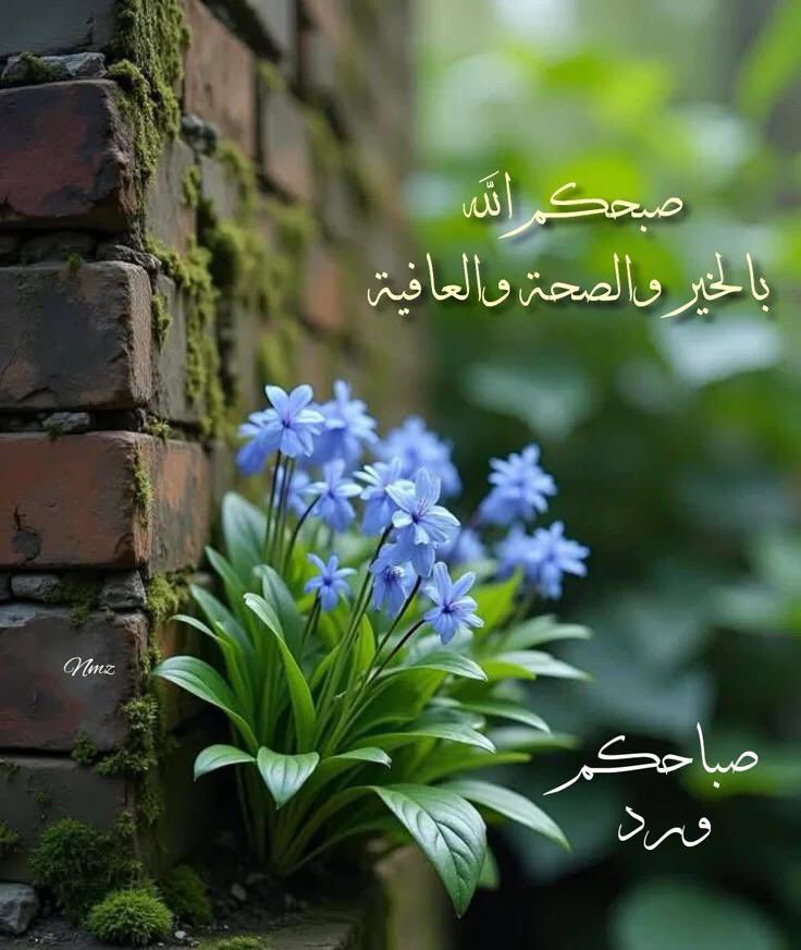 RedDave77's tweet photo. @Zeina90010483 https://t.co/2C3Vf7qLhE