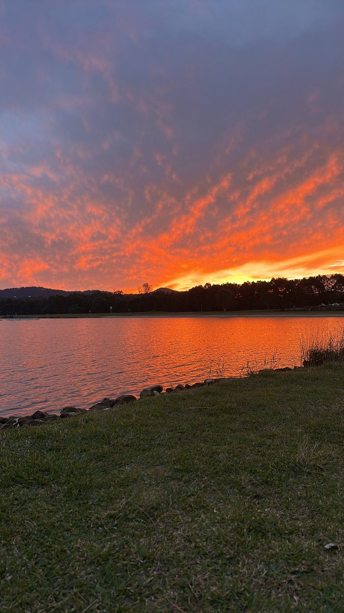 Fua4d's tweet photo. Cutting hack: Have ur meal prep by  a beautiful view so u feel less bad about having diet food https://t.co/OLRWL1GBqB