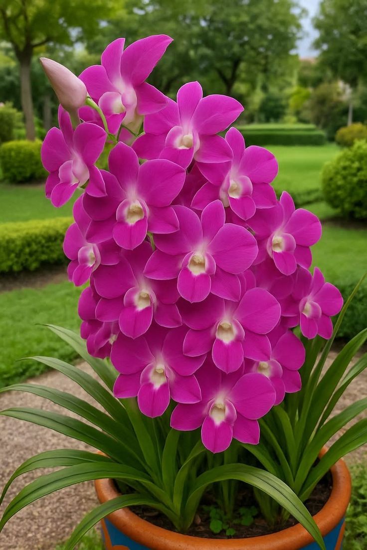 flowersworld298's tweet photo. https://t.co/UaBC9yXkHs