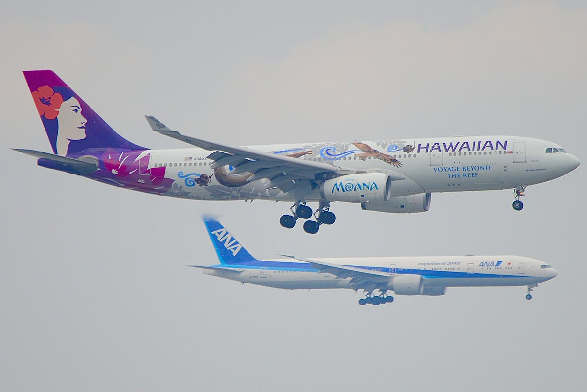 sky302tfs's tweet photo. #RJTT
#N381HA
#モアナと伝説の海
羽田初飛来❓
モアナ塗装を施した機体が都心ルートで羽田の16Rへ滑り込んで来ました(^-^)✨️
遠いけどディズニー背景💦 https://t.co/cYahRsnZ3K
