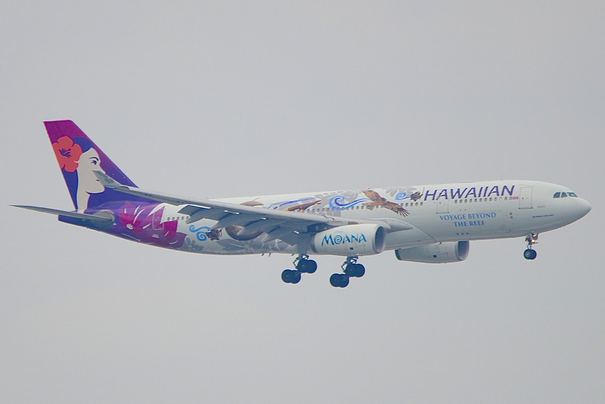 sky302tfs's tweet photo. #RJTT
#N381HA
#モアナと伝説の海
羽田初飛来❓
モアナ塗装を施した機体が都心ルートで羽田の16Rへ滑り込んで来ました(^-^)✨️
遠いけどディズニー背景💦 https://t.co/cYahRsnZ3K