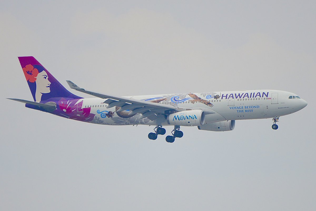 sky302tfs's tweet photo. #RJTT
#N381HA
#モアナと伝説の海
羽田初飛来❓
モアナ塗装を施した機体が都心ルートで羽田の16Rへ滑り込んで来ました(^-^)✨️
遠いけどディズニー背景💦 https://t.co/cYahRsnZ3K