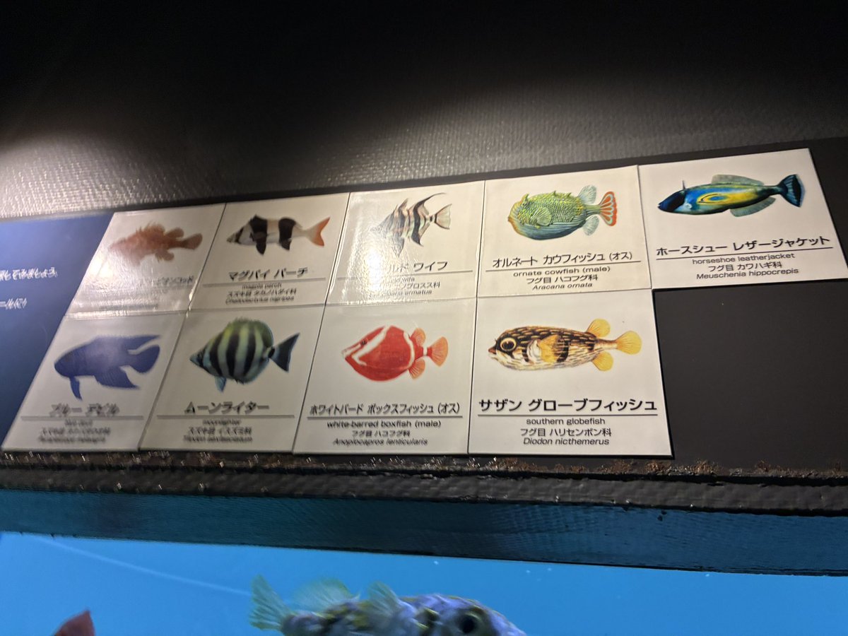osusi1231's tweet photo. このラインナップでもう白米食える https://t.co/otJRUS8zlF