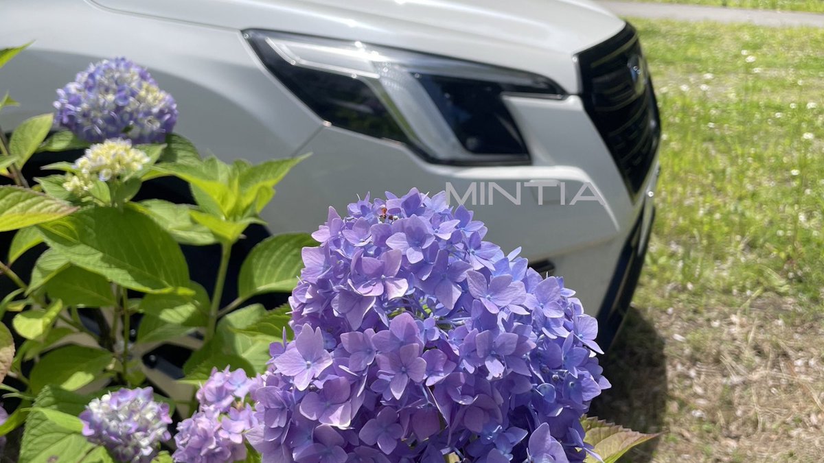 mintia tweet media