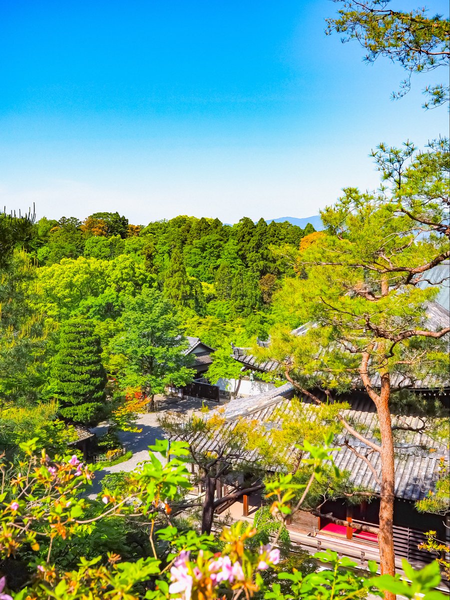 kazu_pot27tora7's tweet photo. 〜ぶらりフォト【京都】今熊野観音寺〜

"朝早で行く古都京都の新緑巡りその③⑧"

OLYMPUS E-M1
OLYMPUS M.12-40mm F2.8 PRO
#今熊野観音寺 https://t.co/ubmwG9EAr3