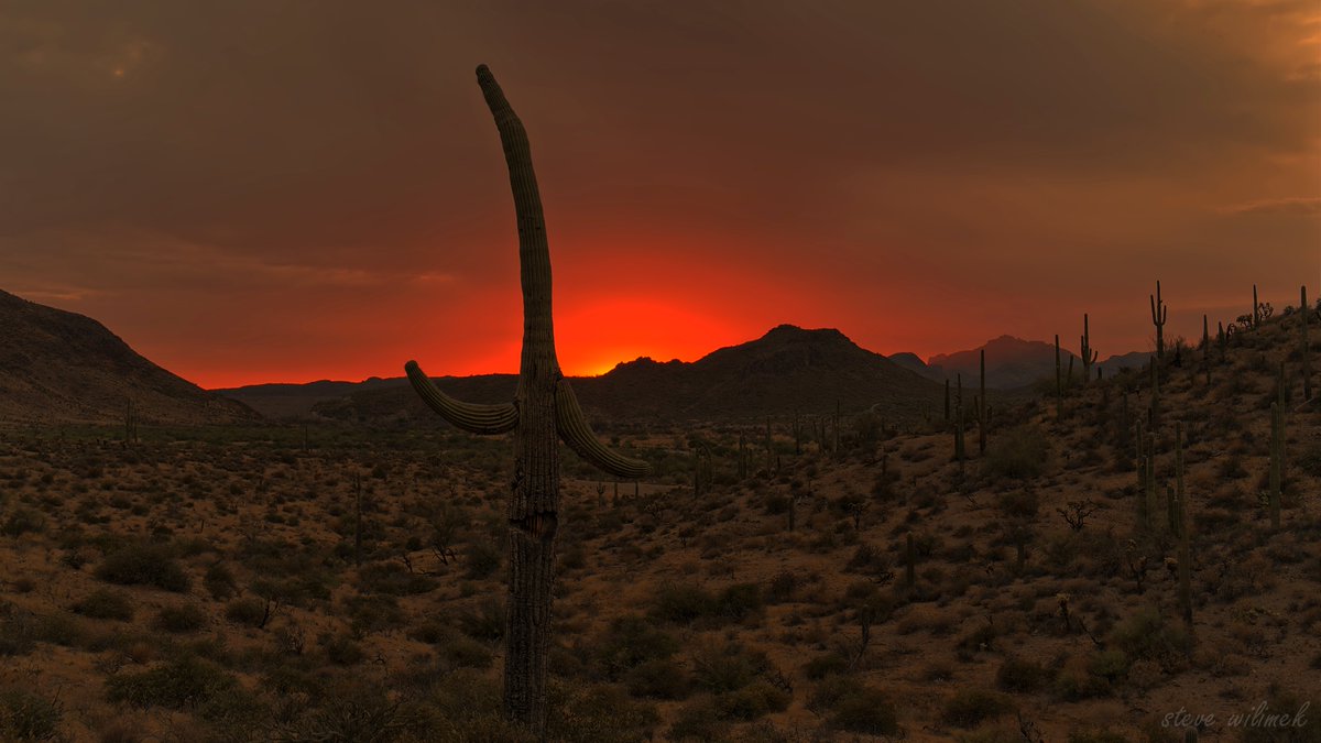 SW3317301899287's tweet photo. Arizona sunset #Arizonasky https://t.co/qVqTmX9Ycs