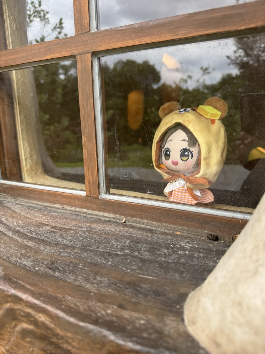 昨日撮った写真のお気に入りを4点ほど