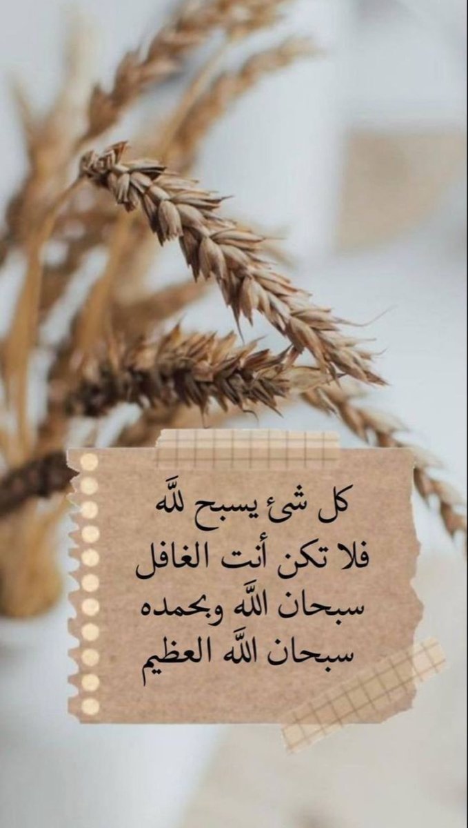 nayf3882's tweet photo. صبــاح الخيــــر 🤍 https://t.co/58vRELOH7u