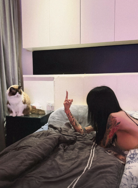 lu_na1023's tweet photo. 하루종일 울어대는 창식이...엿먹어라
#고양이 https://t.co/Fz0gd07HEf
