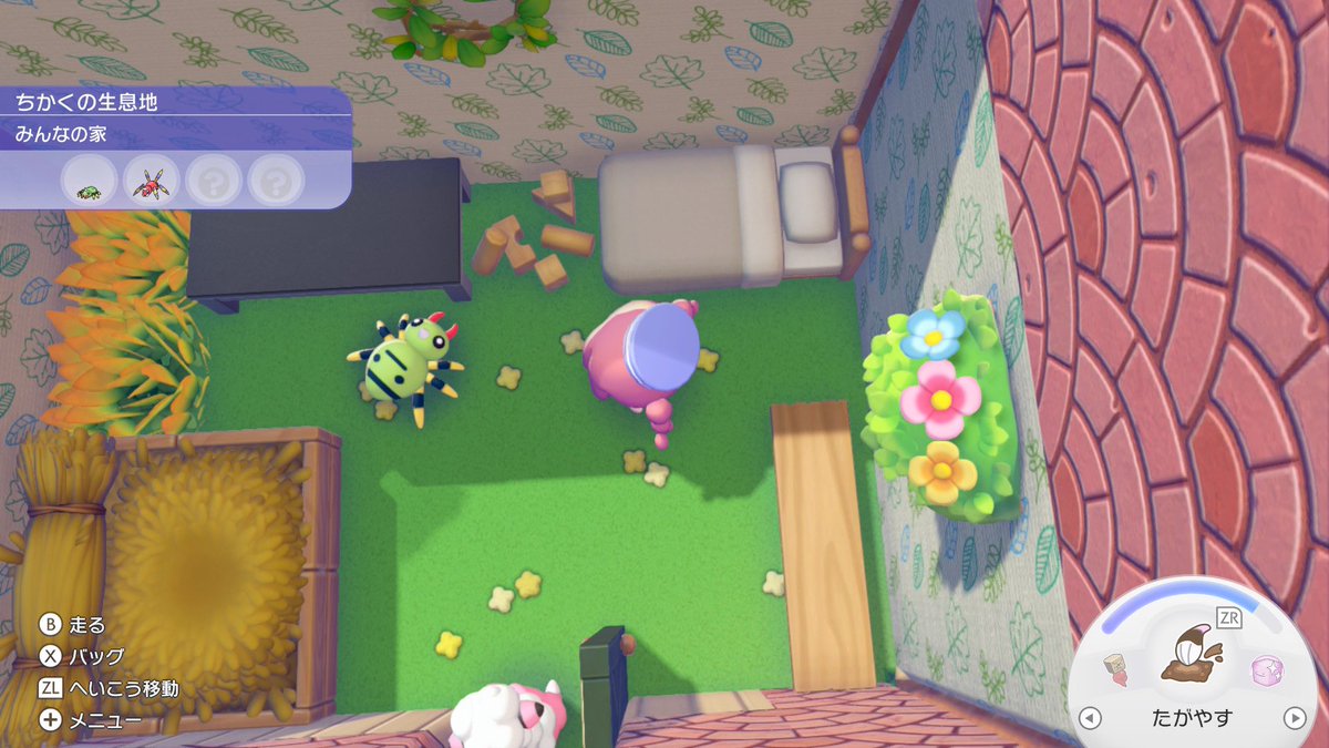 AsaeMail's tweet photo. #ぽこポケ　#ぽこあポケモン

イトマルとアリアドスの部屋作った。そしてみんな集まってくる。 https://t.co/9hVrNQJocd