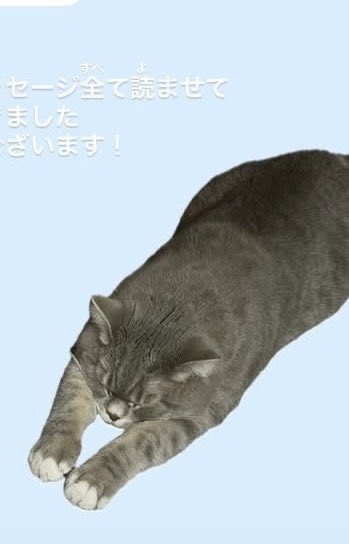 bb_saifa's tweet photo. I wonder how long he searched for a suitable photo of Mochimaru for "thanks" story and end up chosen from (probably) many photos of it settled on a Mochimaru similar to a bowing pose ➝ 🙇🏻♀️
#土田央修 #もちまる #OSUKE https://t.co/ioCHCIG6nv