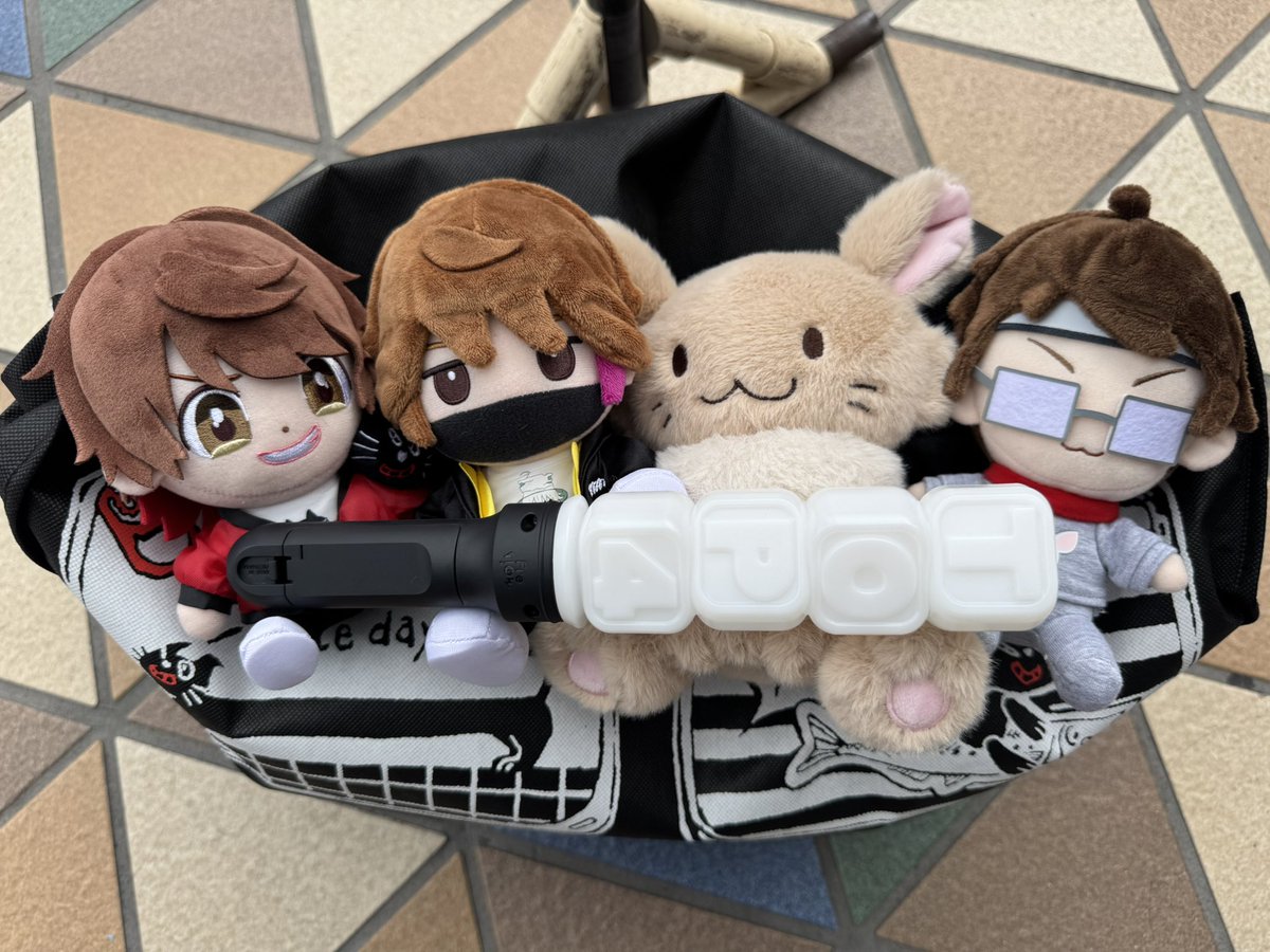 teraderamn's tweet photo. 譲渡に使いすぎてて、インスタだけ投稿しててこっち全く動かしてなかった😂

今日も楽しみ過ぎるぜッ🌟 https://t.co/gw9rS4T8Dg