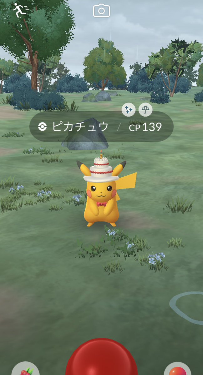 _yk712_'s tweet photo. やっとオスメス揃った😯 https://t.co/k4IagwHtu0