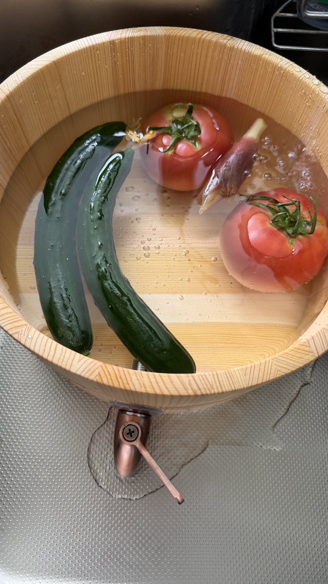 tamuryu's tweet photo. 夏はじめました https://t.co/jnWkGeHTPH