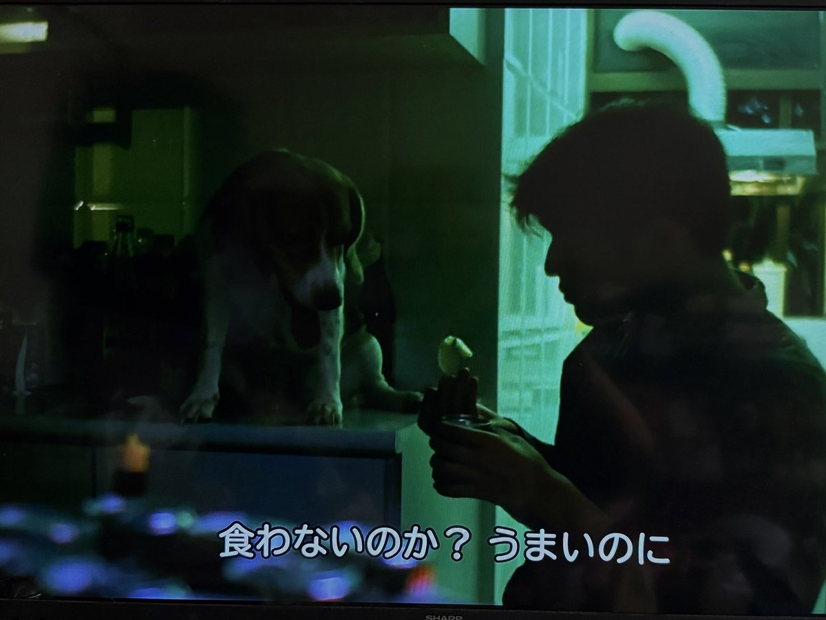 Licht0330's tweet photo. ヨソちゃんソロコン
映画をオマージュって
パイナップルの缶詰
え?武様の恋する惑星なの?
失恋したらパイナップル缶詰😅
#Highlight #하이라이트 #윤두준 #尹斗俊 #양요섭 #梁耀燮 #이기광 @900_330 #李起光 #손동운 #孫東雲 @beastdw #BEAST #비스트 https://t.co/E0fi8ROe8O