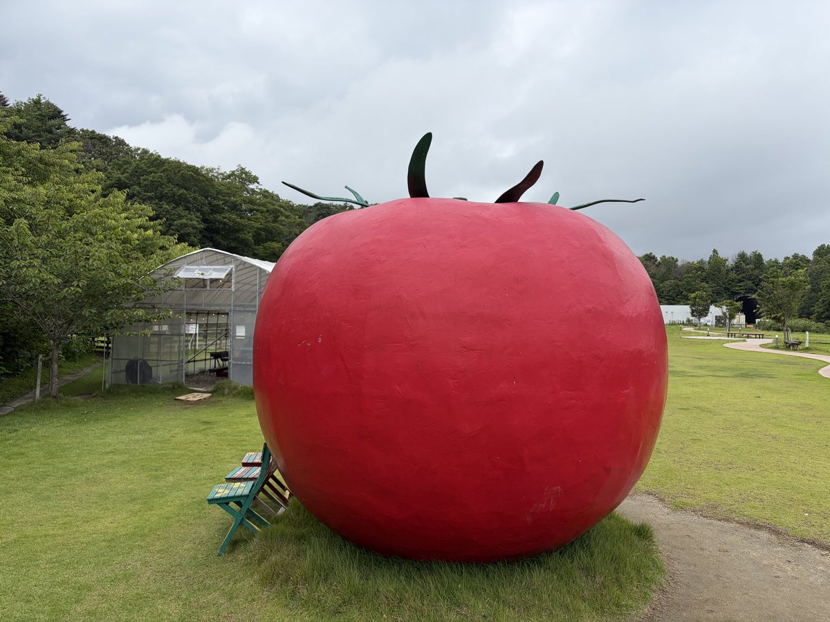 FH_daijirou's tweet photo. いわき市四倉町
ワンダーファームにて
トマト攻め🍅 https://t.co/DuKvyP1G5P