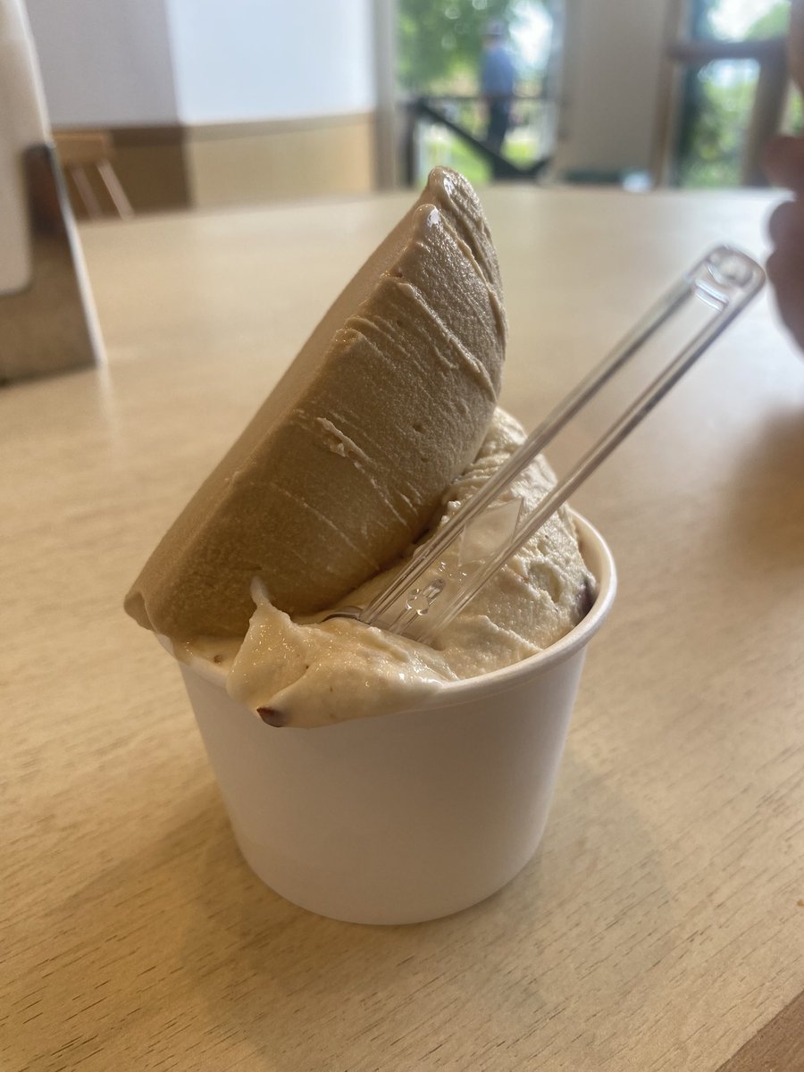 sky202r's tweet photo. リベンジしに来たジェラート🍨 https://t.co/B5bzXYMKbp
