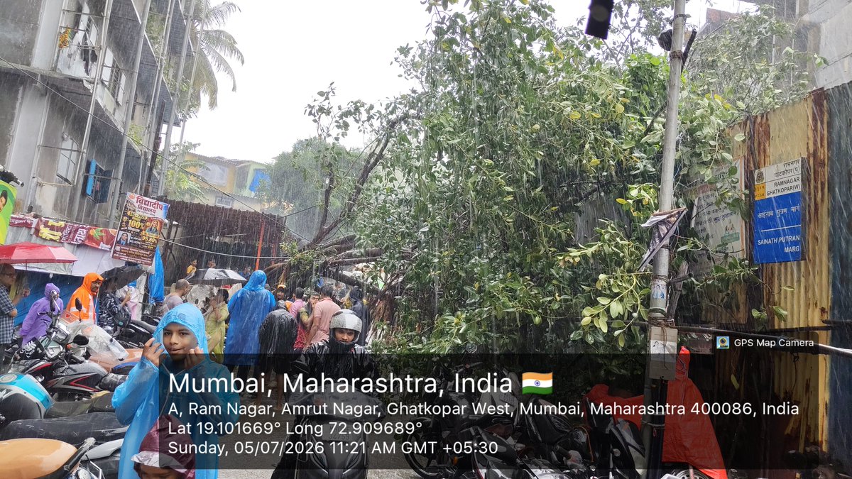 mukeprashant22's tweet photo. झाड पडून अर्धा तास झाला, महानगर पालिके N विभाग ची टीम पोचलेली नाही,
@mybmcWardN @mybmc @CMOMaharashtra https://t.co/8hzUCGdkQ1