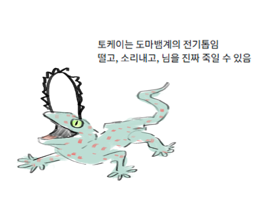 Beom5lae's tweet photo. 지인이 그려준 토케이가 너무 퐁력적이고 귀여워서 공유
ㅋㅋㅋㅋㅋㅋㅋ 사진 보고 그리셨대요  그러나 살아있는 거 같이 잘 그린 https://t.co/eEEJFLJZjT