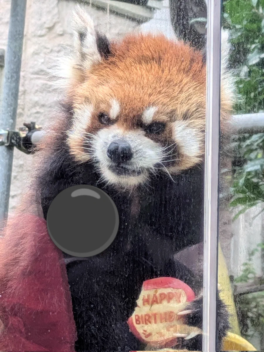 千葉市動物公園【公式】 on X: 