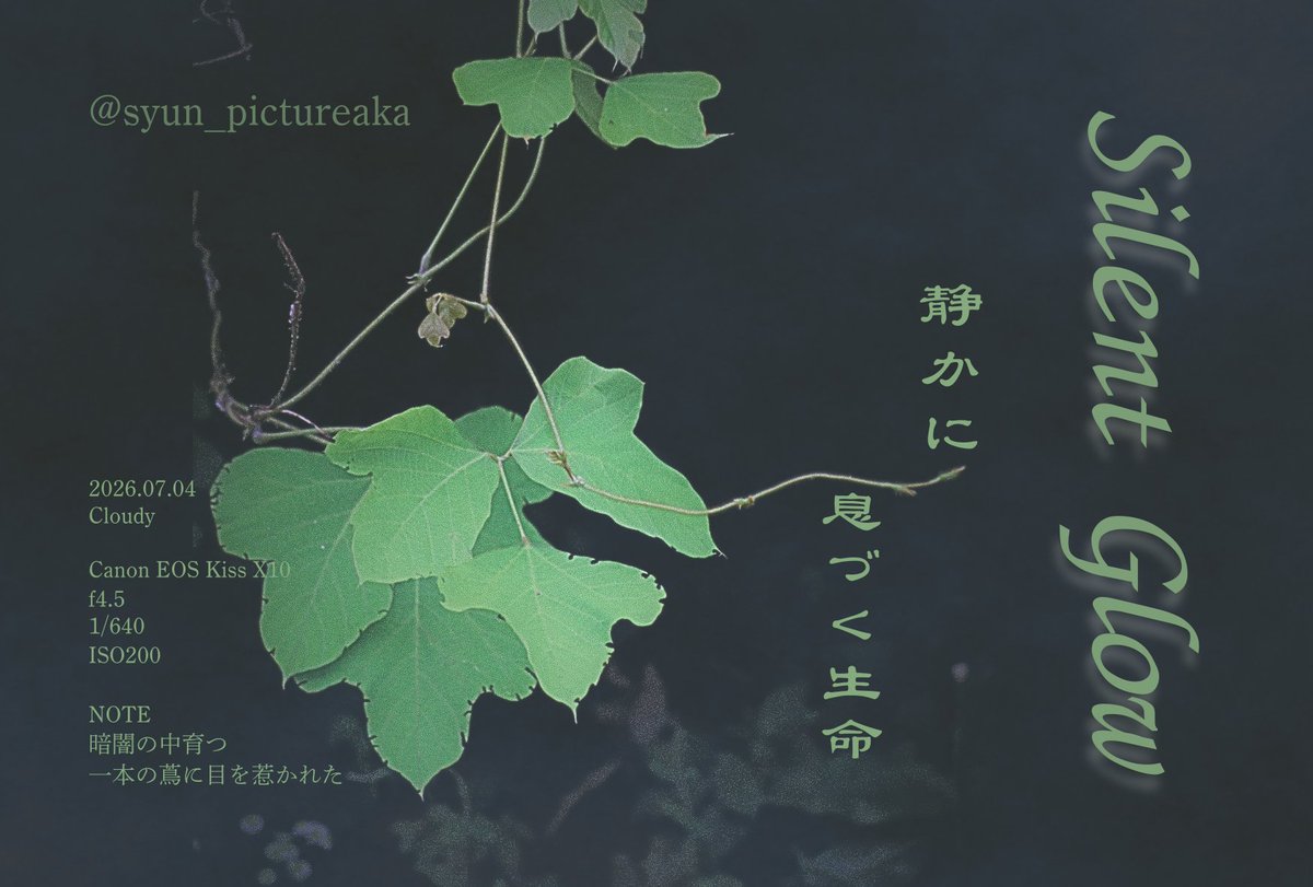 syun_design's tweet photo. どこか寂しい風景をポスター風に
 #写真撮ってる人と繫がりたい 
 #日常ポスター https://t.co/DgUfumgsoV