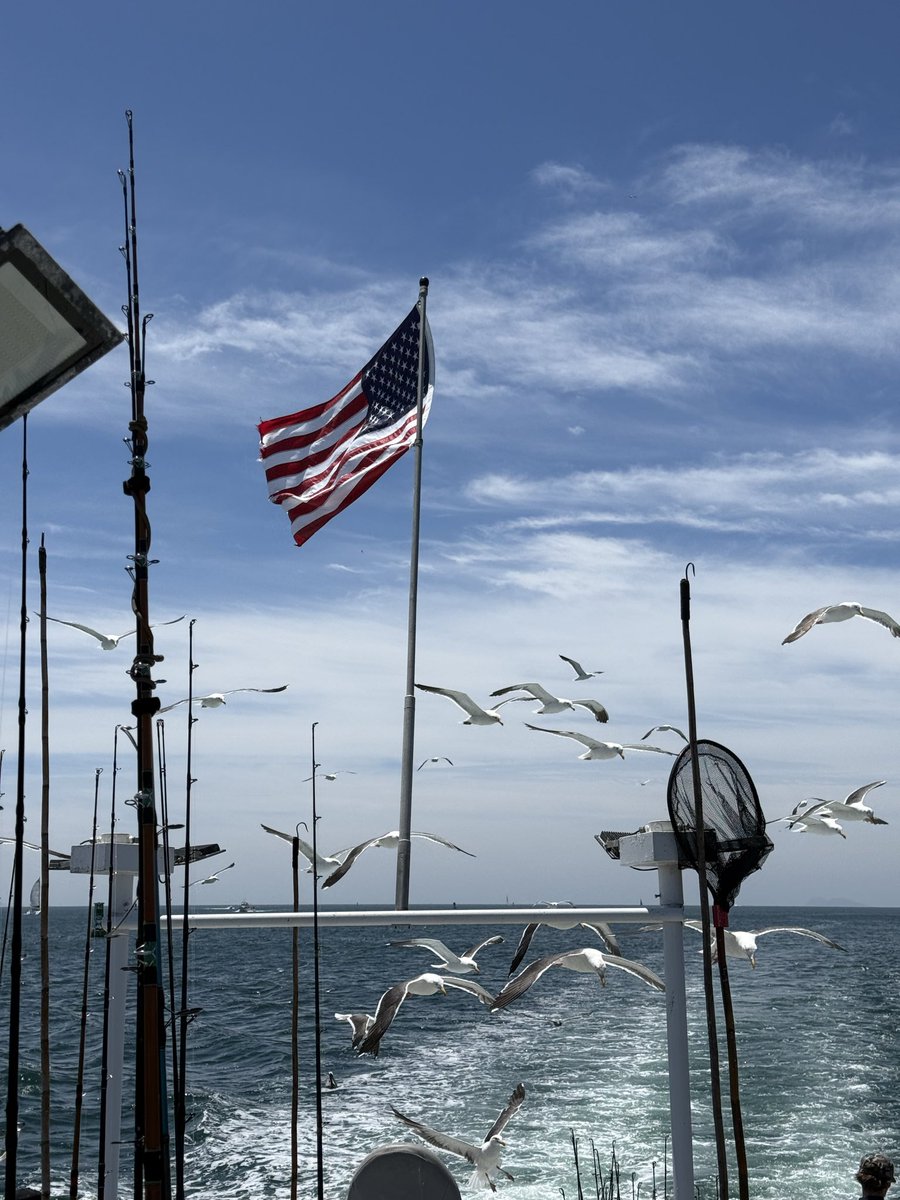 UncleMacro's tweet photo. Happy Independence Day America 🇺🇸 https://t.co/BosBYMiNX1