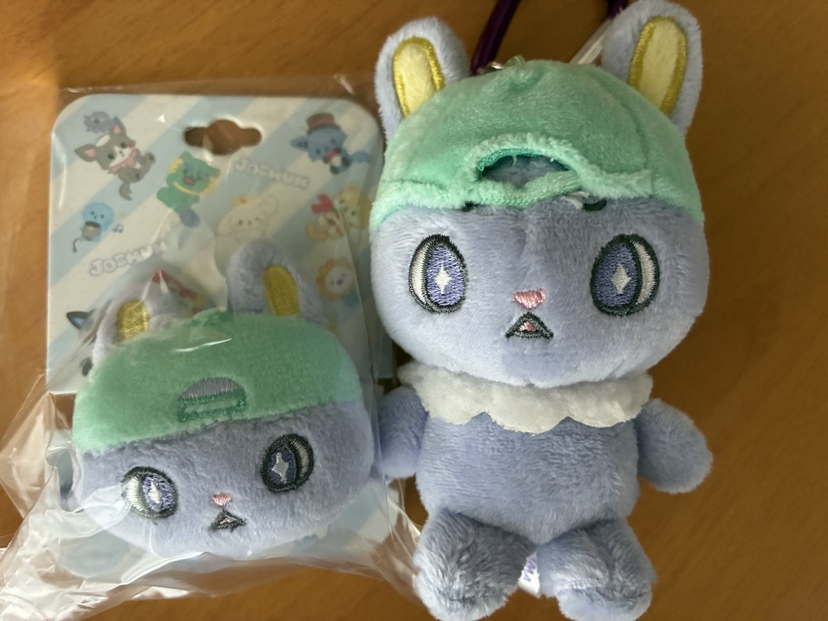 kona93060684's tweet photo. 昨日無事にお迎えできました🐰💜
嬉しくてすぐカバンにつけてルンルン歩いていたらアレ？？…ちまたいない😱すぐに歩いてきた道戻って捜索したらどなたかお優しい方が通路柱の土台に置いてくださっていた😭カバンにしっかりついてなかったようで…ごめんねちまたー気をつけるよ〜🙇
#JOCHUM https://t.co/YoQGXTFSfY