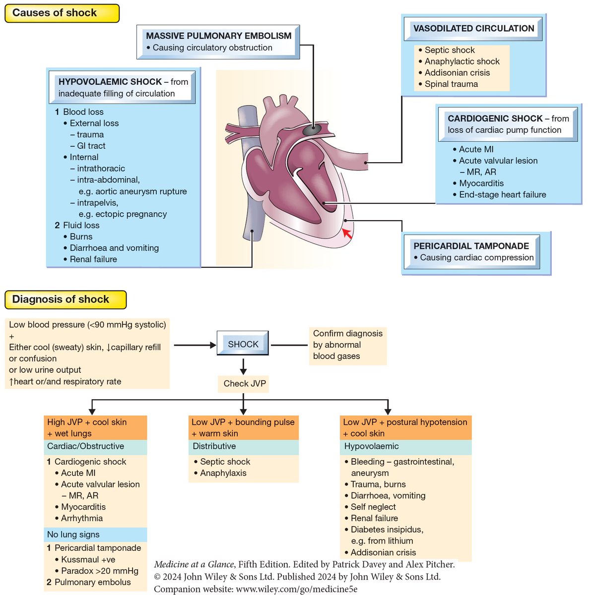 ManualOMedicine's tweet photo. Causes and Diagnosis of Shock

#medtwitter #foamed #meded https://t.co/EfnrKzml9f