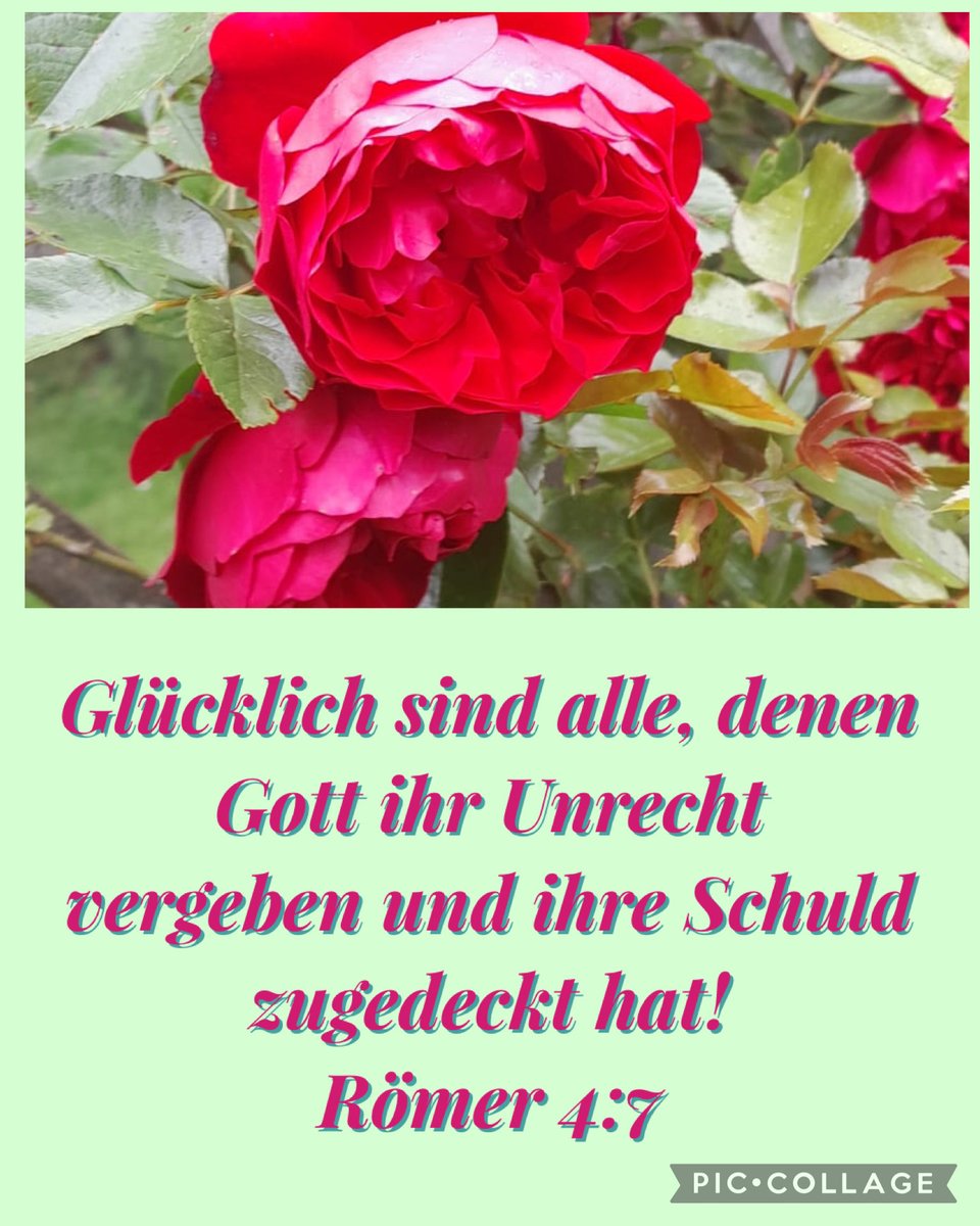 morgneruta's tweet photo. https://t.co/yePAVfwLXF