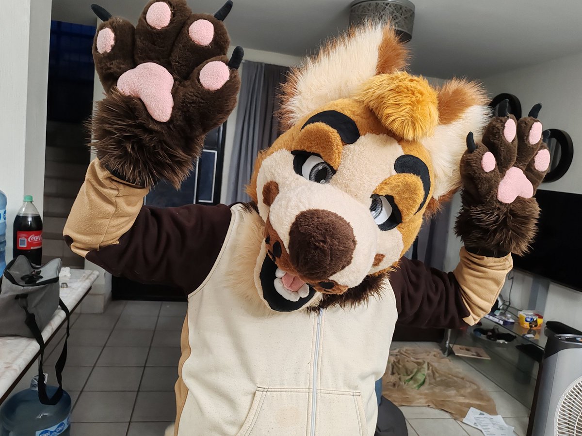CCCartncraft's tweet photo. This pretty fella is done
And his name is @TomyTheFox https://t.co/7Jvx5eEVQs