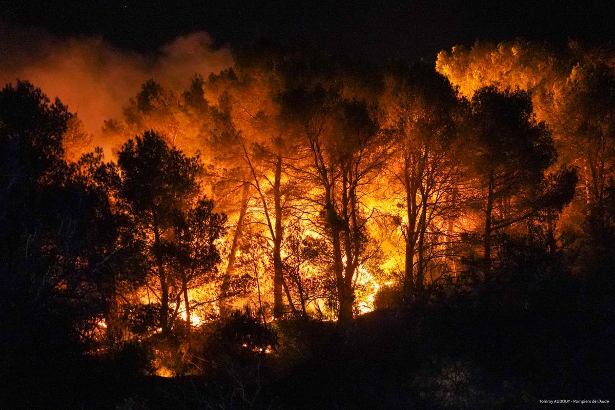 SDIS11OFFICIEL's tweet photo. 🌳🔥 Les Pompiers de l’Aude ont été confrontés à un incendie de forêt et de broussailles cette nuit, dans le massif de l’Alaric, à Capendu. Très rapidement, ce sont 240 soldats du feu et 60 véhicules qui ont lutté contre les flammes.
Le feu est désormais fixé. https://t.co/ryQFEqfXOW