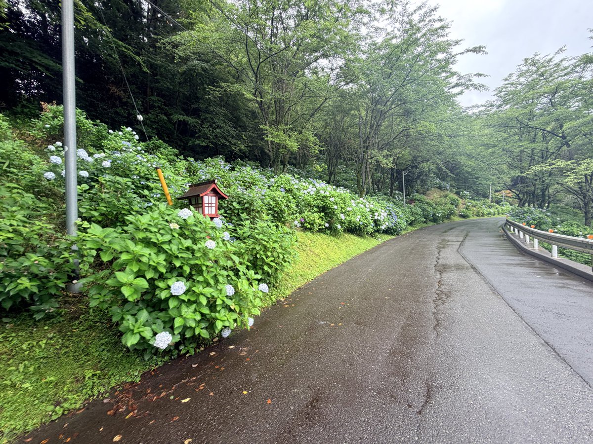 0821_saitake's tweet photo. 今日も天気悪いからシクロクロス

市内で結構走るとこ見つけたからオフロードが捗る笑 https://t.co/24YRlO3yuK