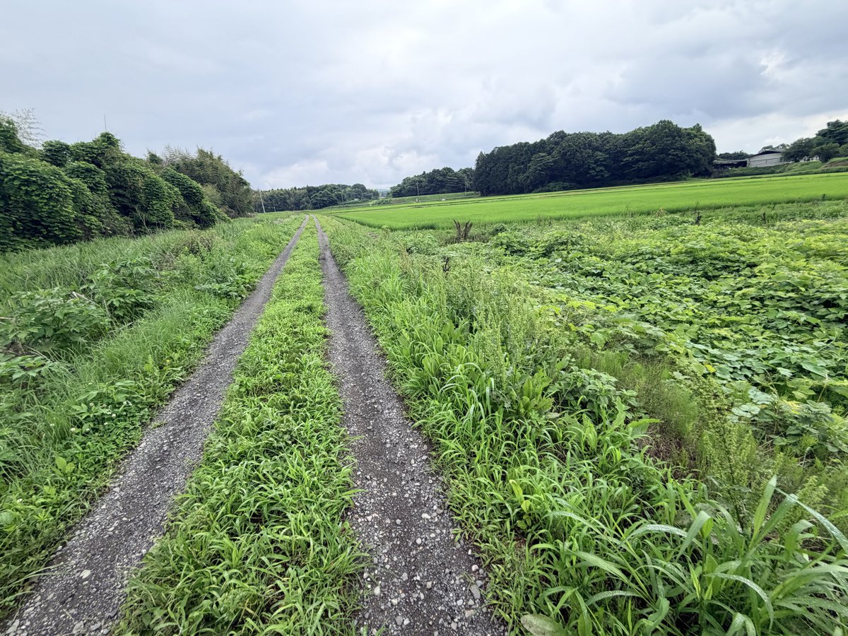 0821_saitake's tweet photo. 今日も天気悪いからシクロクロス

市内で結構走るとこ見つけたからオフロードが捗る笑 https://t.co/24YRlO3yuK