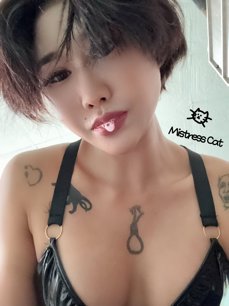 Mistresscat07's tweet photo. https://t.co/urBmOqJKhE