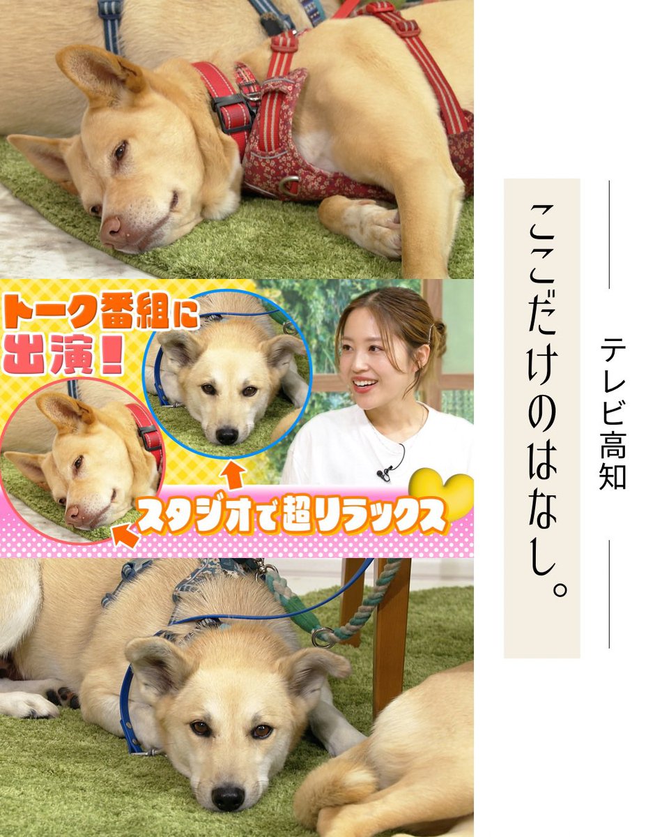 little_mamy_19's tweet photo. YouTubeにアップされました❣️

https://t.co/2C3P0qPqPj

ぜひご覧ください✨ https://t.co/4QjwiGjENY