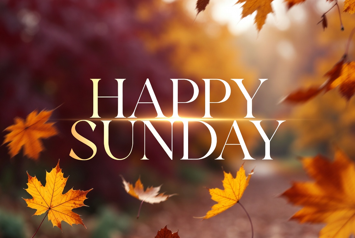 🍂 𝐃𝐢𝐥𝐢🍁 tweet media