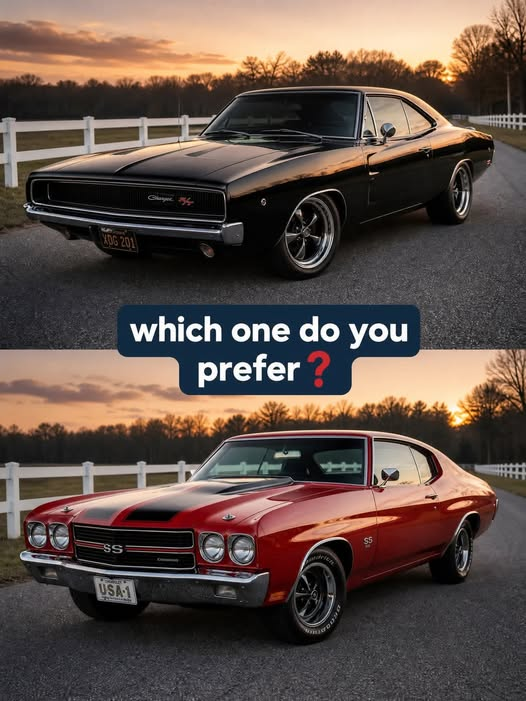 us_connie's tweet photo. Top vs bottom? 🤔 https://t.co/PnhMp6f7B2