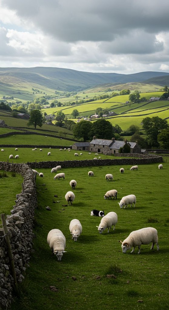 _Naturaee's tweet photo. green valley https://t.co/fr5WPUPocu