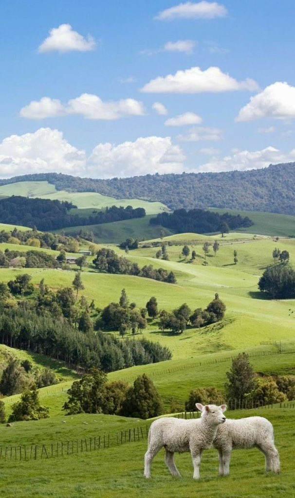 _Naturaee's tweet photo. green valley https://t.co/fr5WPUPocu