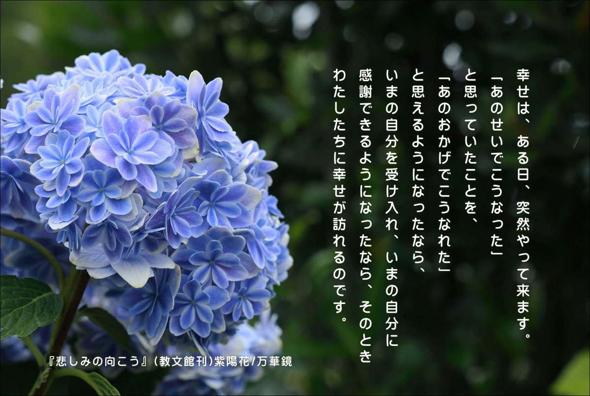 hiroshisj's tweet photo. 幸せは、ある日、突然やって来ます。
「あのせいでこうなった」
と思っていたことを、
「あのおかげでこうなれた」
と思えるようになったなら、
いまの自分を受け入れ、いまの自分に
感謝できるようになったなら、そのとき
わたしたちに幸せが訪れるのです。

『悲しみの向こう～希望の扉を開く言葉366』（教文館刊）
◆Amazon https://t.co/1qCd3QOlht
◆教文館 https://t.co/2AxPlGrsqp