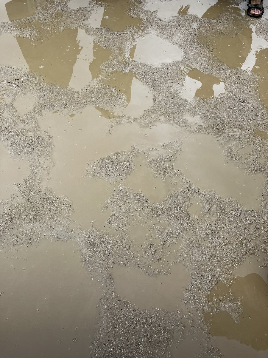 taofua's tweet photo. コルレの時、雨止んだんだがwwww
田植えすぎて、終わった後、みんなの
パーソナルスペースが水溜りで出来てた🤣
#京都大作戦2026
#coldrain https://t.co/mVc45EQyP3