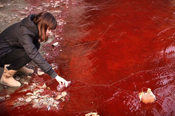aravind's tweet photo. Saw some losers who hide a lot of sh1t in their country, have a perversion for sh1t, and do sh1t jobs against India around the world, and now inside Japan - to create diplomatic &amp; people to people issues - taking a dig at water quality of India. Do read:

https://t.co/HG24S2pUBE https://t.co/9M1RvfbgnP
