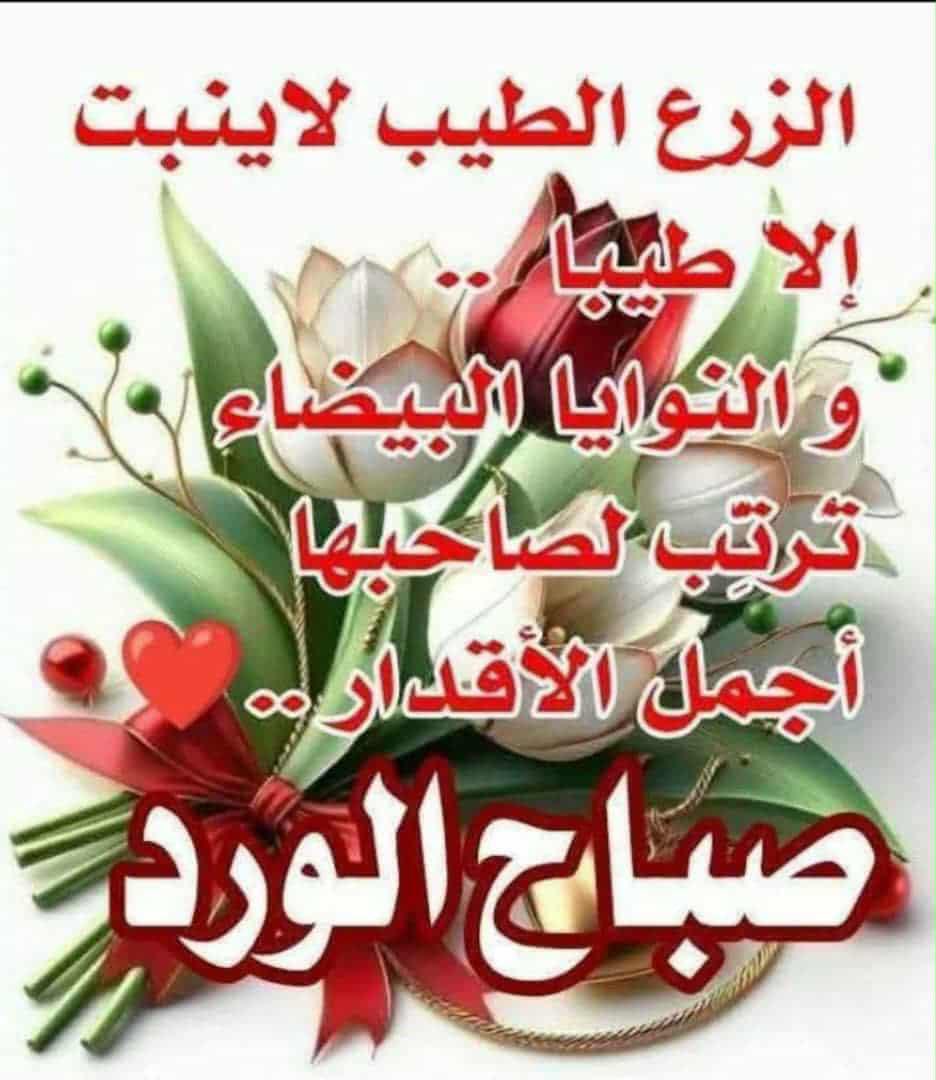 RedDave77's tweet photo. @serinsahar007 https://t.co/u3XRuCDrq1