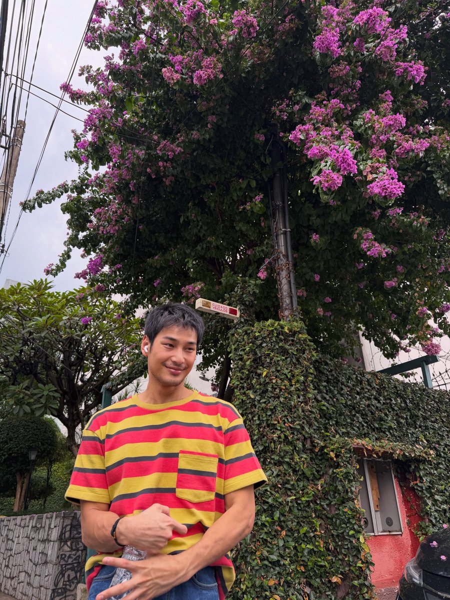 llihcnmadmi2's tweet photo. 🌺 https://t.co/RzxHykxX68