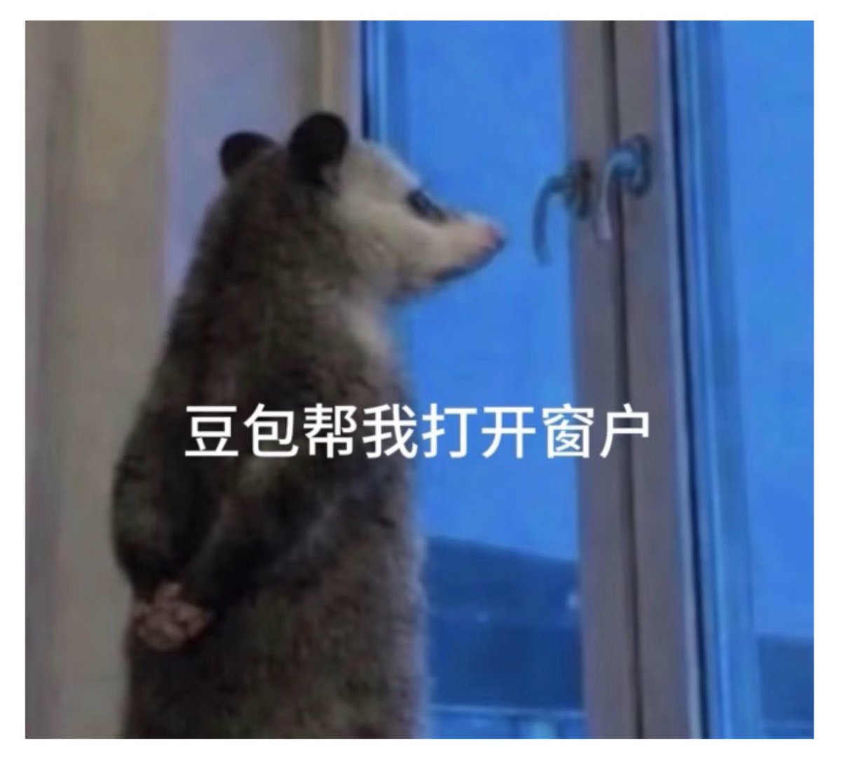 brandyoy97's tweet photo. 我对 AI 的依赖程度⬇️ https://t.co/XK8JJCXkTJ